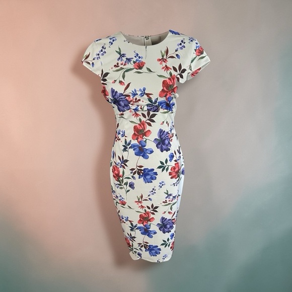 Alexia Admor Dresses & Skirts - ALEXIA ADMORE Pale Green Cap Sleeve Sheath Midi w/Red & Blue Blooms. Sz: 8. $48.